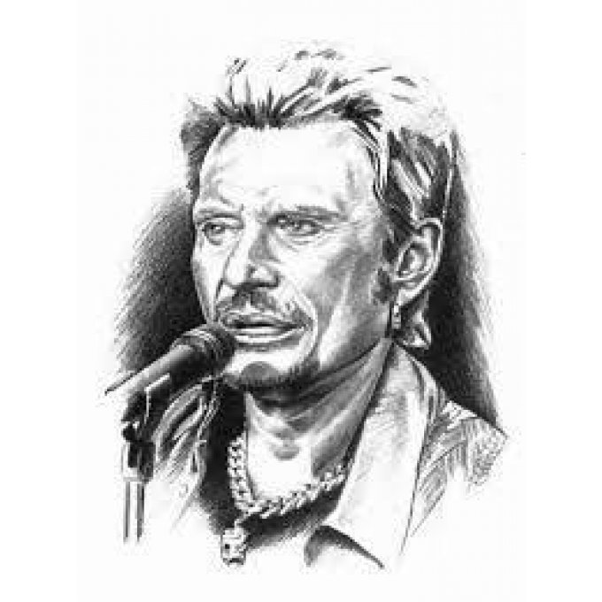 Pack Spécial J. Hallyday Partitions Incluses PDF